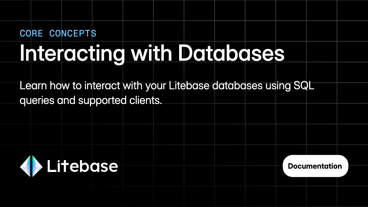 Interacting with Databases - Litebase